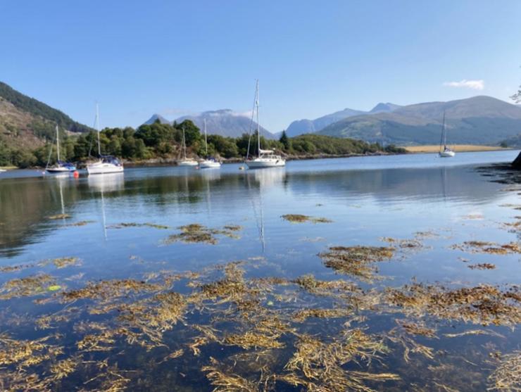 The Fox'S Den, Luxury Cosy Mini Lodge, Highlands North Ballachulish Bagian luar foto